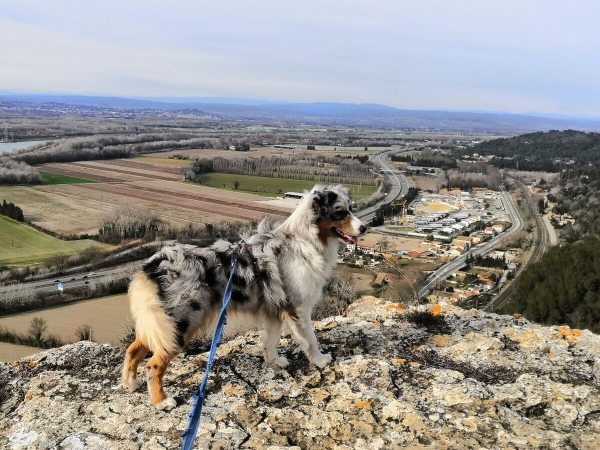 «Да хоть с крокодилом! Главное, чтобы в кабине было чисто!» Белоруска ушла в дальнобой и ездит... с собакой «Да хоть с крокодилом! Главное, чтобы в кабине было чисто!» Белоруска ушла в дальнобой и ездит... с собакой