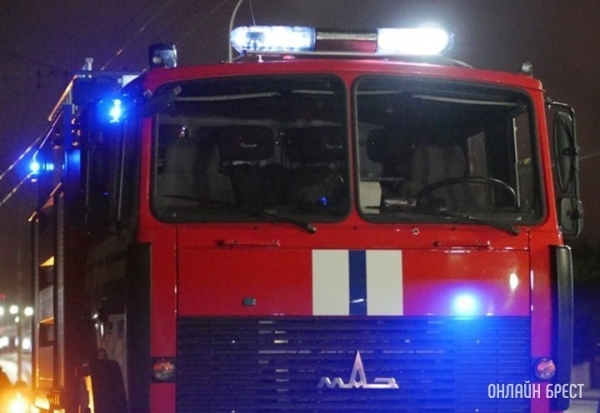 При пожаре дома в Барановичах погибли мать и сын При пожаре дома в Барановичах погибли мать и сын