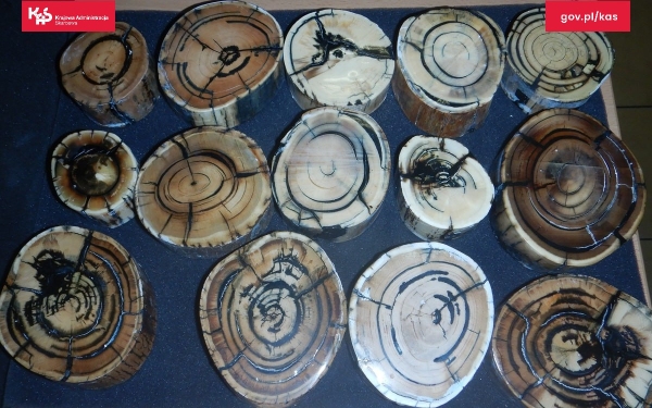 Белорус пытался контрабандой ввезти в Польшу древние окаменелости