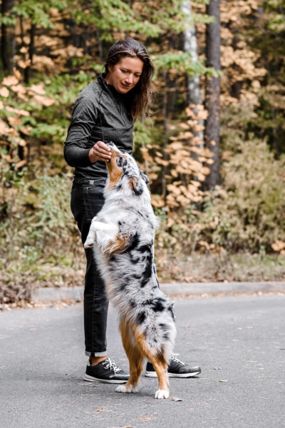 «Да хоть с крокодилом! Главное, чтобы в кабине было чисто!» Белоруска ушла в дальнобой и ездит... с собакой «Да хоть с крокодилом! Главное, чтобы в кабине было чисто!» Белоруска ушла в дальнобой и ездит... с собакой
