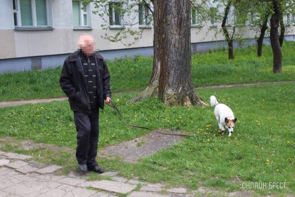 Повышение налога для владельцев собак: размеры и последствия невыплаты