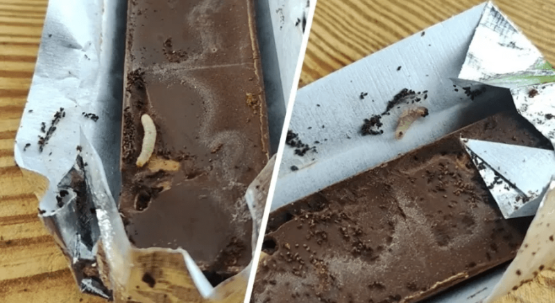  Белорус нашел живых червей в шоколаде «Коммунарка» 