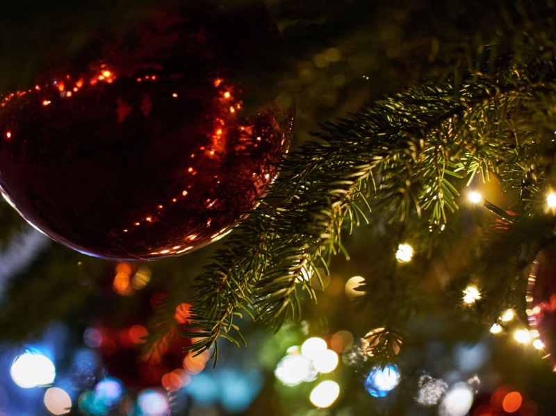 
												В Витебске устанавливают самую высокую новогоднюю ёлку в Европе
											