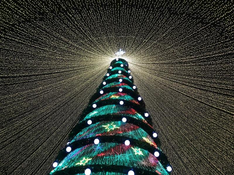 Новогодний праздник «Новогодний калейдоскоп» пройдет в Студенческом сквере в Витебске
											 
												Новогодний праздник «Новогодний калейдоскоп» пройдет в Студенческом сквере в Витебске