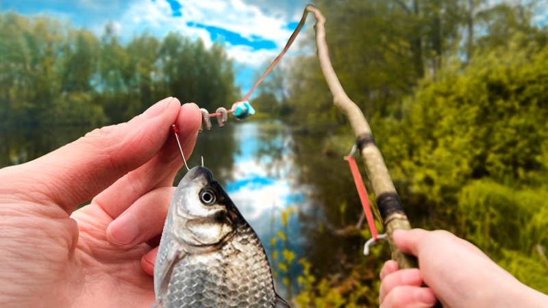 
												Трагедия на Зароновском озере: пенсионер найден мертвым во время рыбалки
											