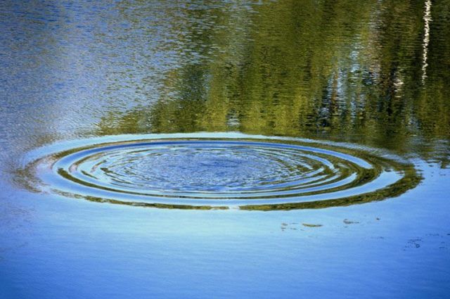 Трагедии на водоёмах Витебщины: четвёро погибших, двое спасены во время рыбалки
											 
												Трагедии на водоёмах Витебщины: четвёро погибших, двое спасены во время рыбалки