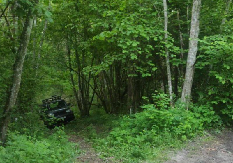 
												В Полоцком районе расследуют дело о незаконной добыче дикого кабана
											