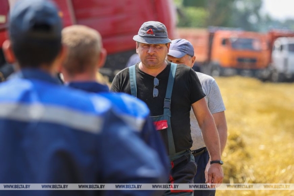 «Стараемся на деле проявлять заботу о людях», или Как в Кобринском районе начали жатву