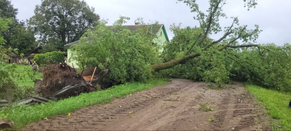 В МЧС рассказали, что натворила непогода в Брестской области