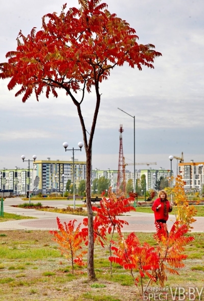 В Бресте парк 1000-летия залит осенними красками. Фоторепортаж