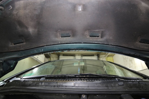 «Если отвезти машину на детейлинг, будет совсем лялечка!» Белорус о VW Sharan, который 13 лет находится в одних руках «Если отвезти машину на детейлинг, будет совсем лялечка!» Белорус о VW Sharan, который 13 лет находится в одних руках