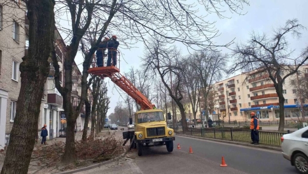 В Бресте проводят плановую обрезку деревьев для их роста, развития и поддержания формы кроны В Бресте проводят плановую обрезку деревьев для их роста, развития и поддержания формы кроны