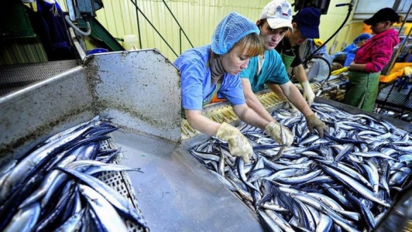 На Брестчине работникам задерживали зарплату за прошлый год