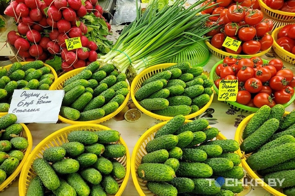 На минских рынках появились столинские огурцы – почем продают
