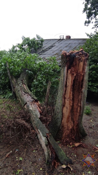 В МЧС рассказали, что натворила непогода в Брестской области