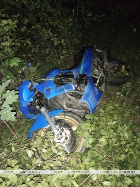 В Беларуси мотоциклист врезался в лося и погиб В Беларуси мотоциклист врезался в лося и погиб