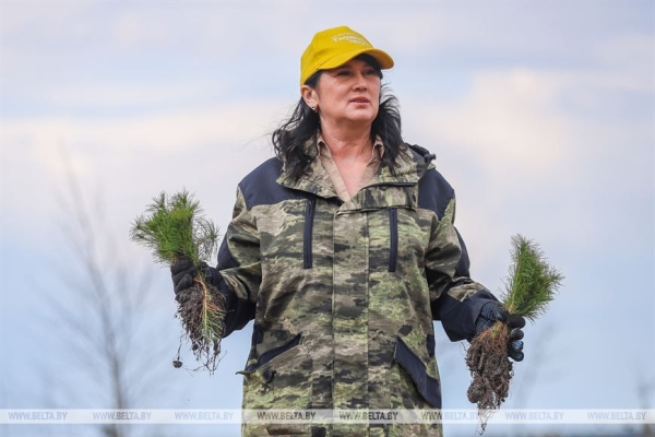 Более 15 тыс. жителей Брестской области поддержали акцию «Неделя леса» Более 15 тыс. жителей Брестской области поддержали акцию «Неделя леса»