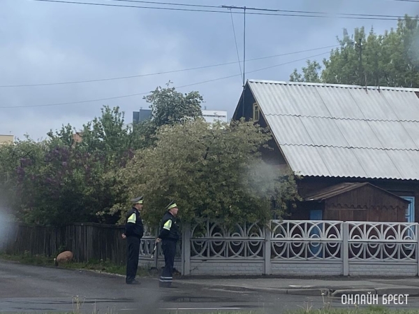 Сколько водителей за не включенный свет фар в Бресте и области привлекли к ответственности Сколько водителей за не включенный свет фар в Бресте и области привлекли к ответственности