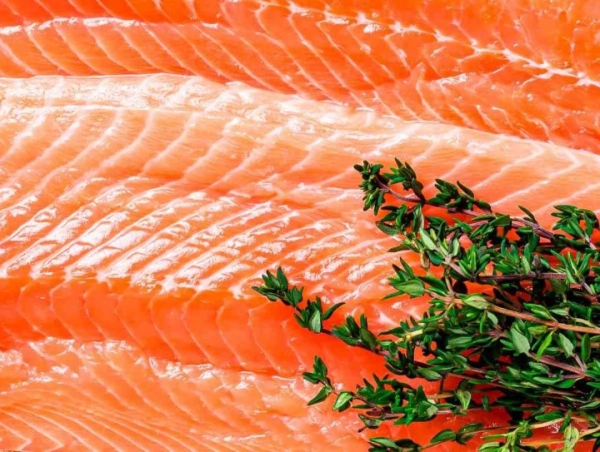 По документам — древесный уголь. Россияне задержали на границе с Беларусью 17 тонн лосося