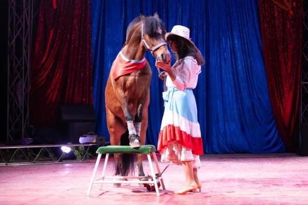 ВПЕРВЫЕ! Цирк-шапито «SIRIUS» представит в Бресте новое экстрим-шоу «Колумбийский форсаж» ВПЕРВЫЕ! Цирк-шапито «SIRIUS» представит в Бресте новое экстрим-шоу «Колумбийский форсаж»