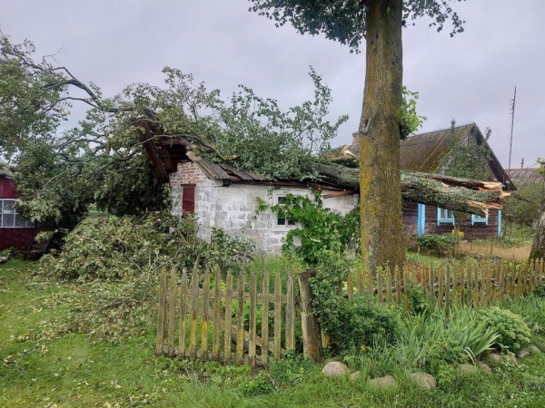 В МЧС рассказали, что натворила непогода в Брестской области