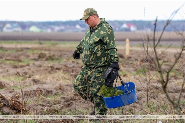 Более 15 тыс. жителей Брестской области поддержали акцию «Неделя леса» Более 15 тыс. жителей Брестской области поддержали акцию «Неделя леса»