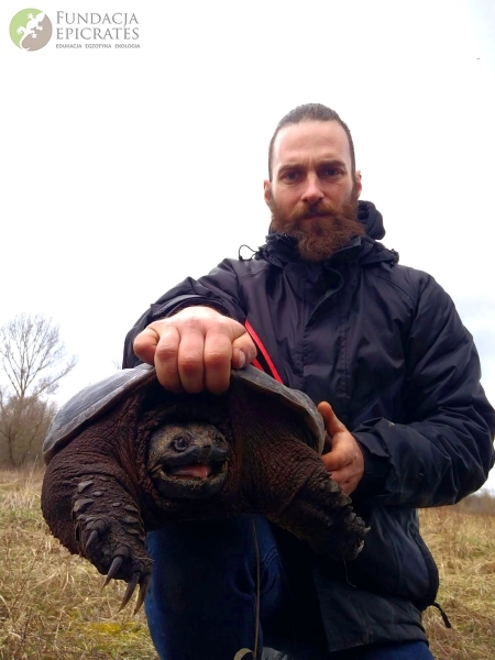 В Польше поймана огромная американская черепаха. Она прожила в природе несколько лет — значит, сможет и у нас