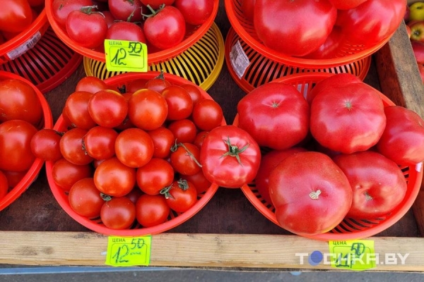 На минских рынках появились столинские огурцы – почем продают